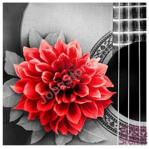 Diamond Painting Rode Bloem 20x20cm