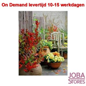 On Demand Diamond Painting 1237