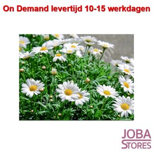 On Demand Diamond Painting 1457