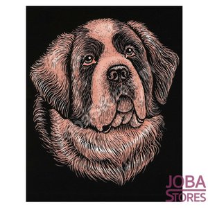 Kras Tekening Senior "Sequin Art" St. Bernard Koper