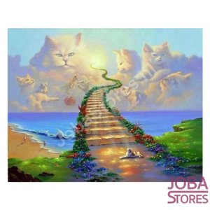 Diamond Painting Katten Hemel 60x80cm