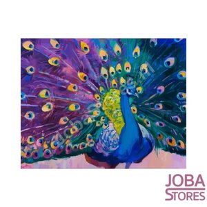 Schilderen op nummer Pauw 02 40x50cm