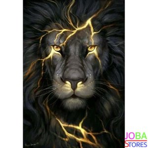 Diamond Painting Leeuw 40x60cm
