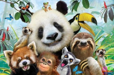 Diamond Painting Gekke Jungle Dieren 40x30cm