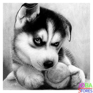 Diamond Painting Husky Pup 30x30cm