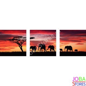 Diamond Painting Olifant 3 luiks 60x20cm