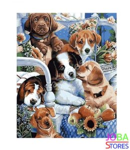 Schilderen op nummer Puppies 40x50cm